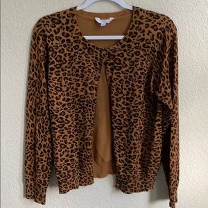 Leopard sweater